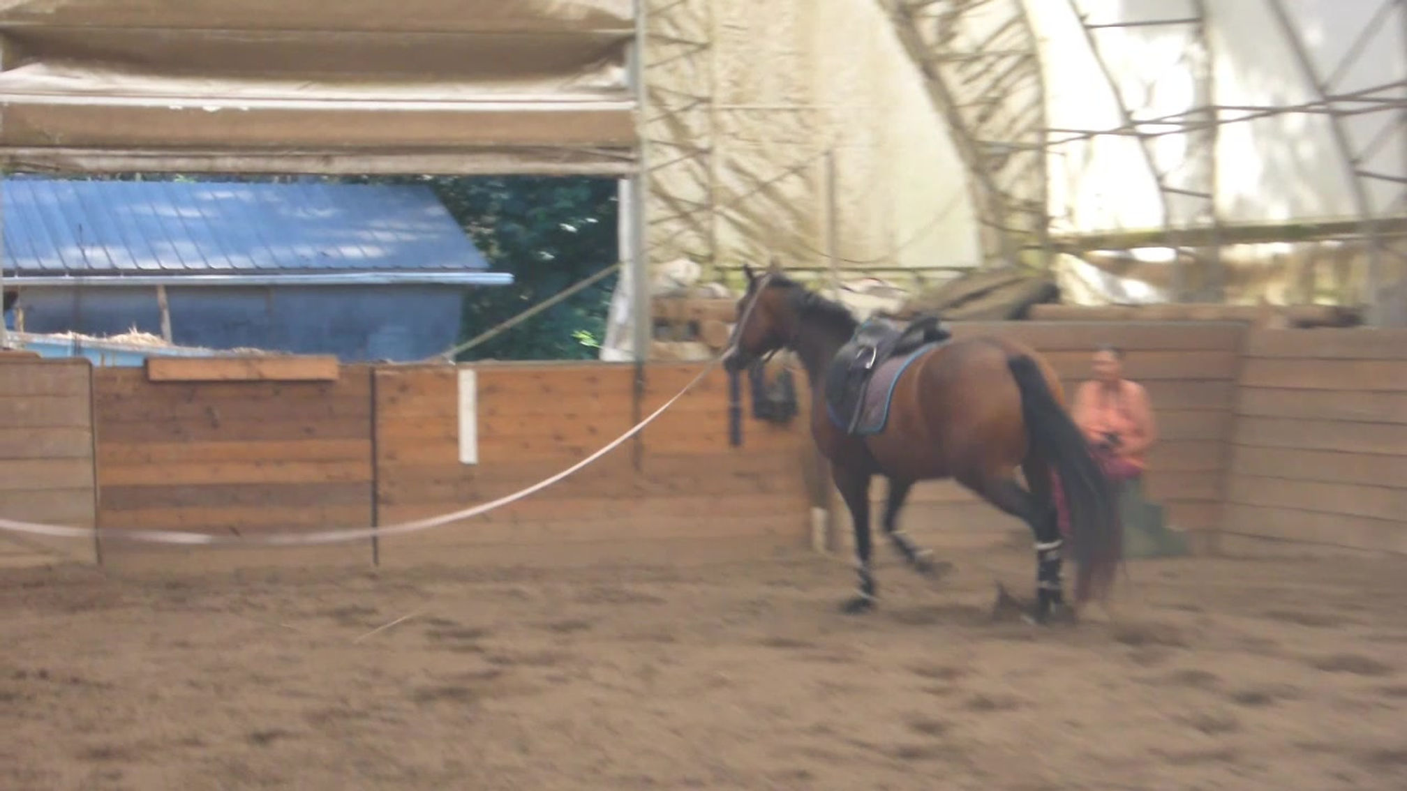 sitka on lunge wtc both ways